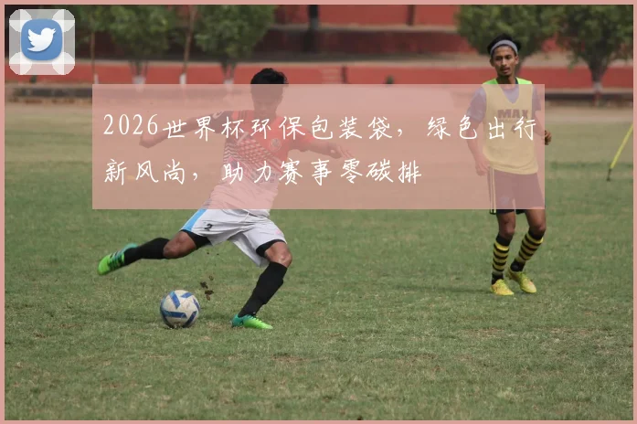 2026世界杯环保包装袋，绿色出行新风尚，助力赛事零碳排