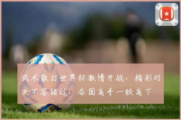 武术散打世界杯激情开战，精彩对决不容错过，各国高手一较高下