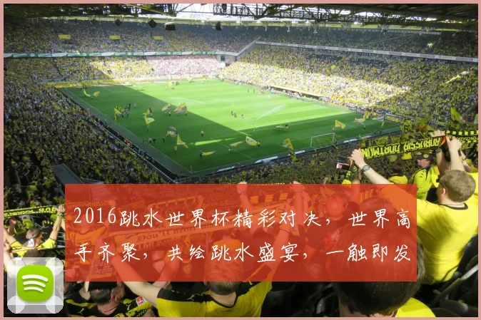 2016跳水世界杯精彩对决，世界高手齐聚，共绘跳水盛宴，一触即发