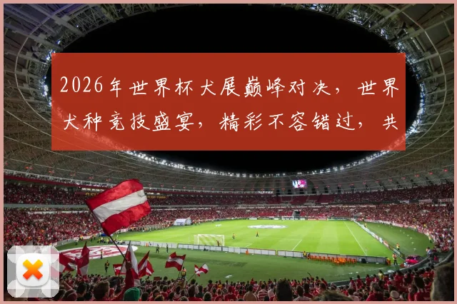 2026年世界杯犬展巅峰对决，世界犬种竞技盛宴，精彩不容错过，共鉴传奇