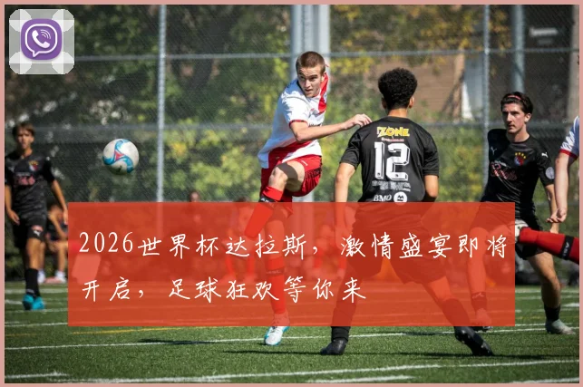 2026世界杯达拉斯，激情盛宴即将开启，足球狂欢等你来